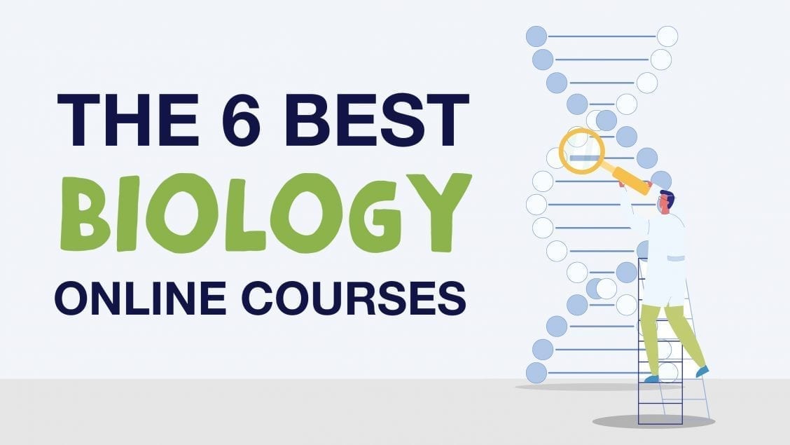 6 Best Biology Courses, Classes and Tutorials Online