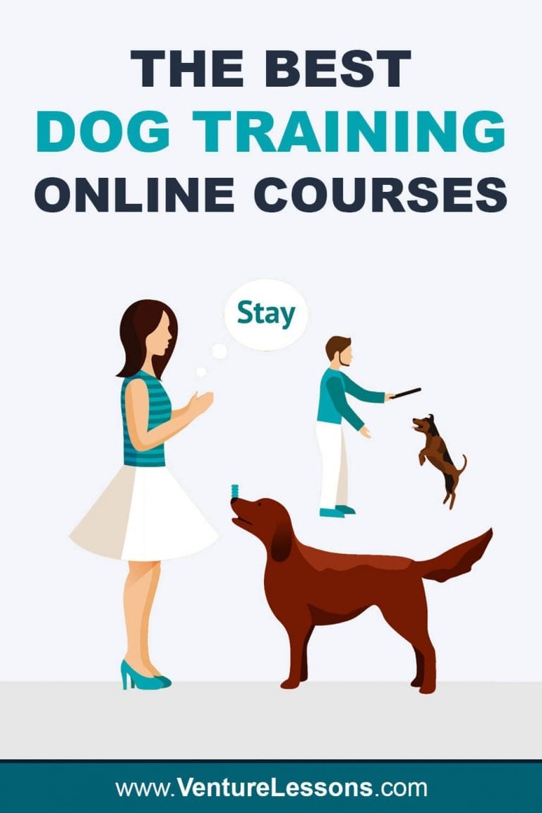 6 Best Dog Training Classes, Courses And Tutorials Online