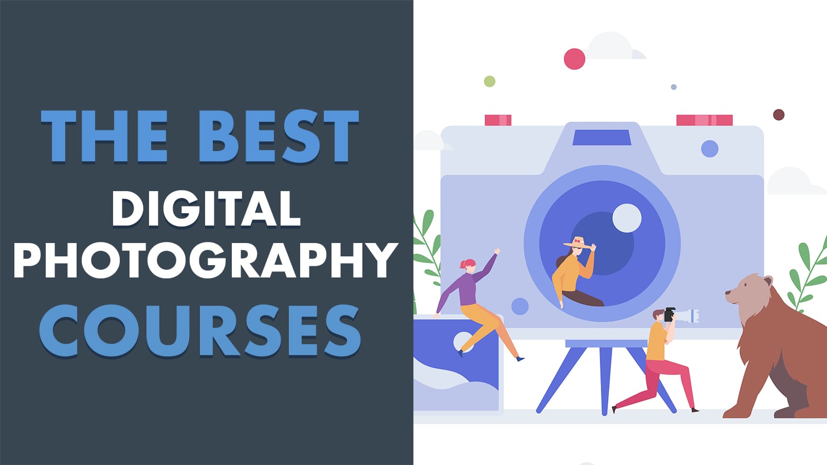 6 Best Digital Photography Courses, Classes and Tutorials Online