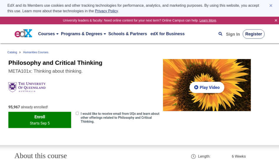 what is considered a critical thinking course