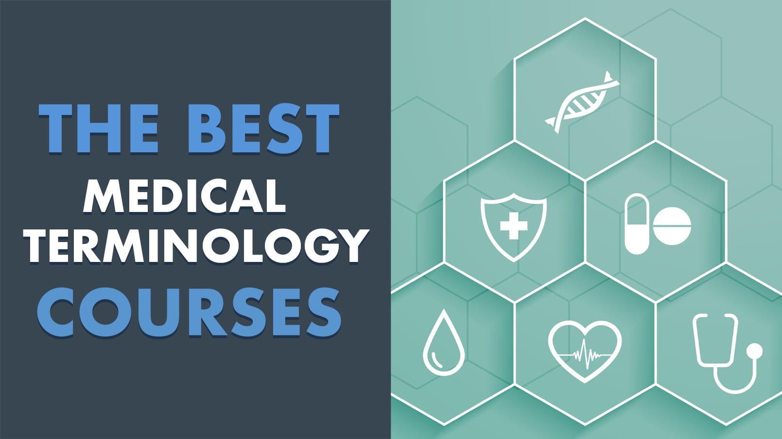 4 Best Medical Terminology Courses and Classes with Certification